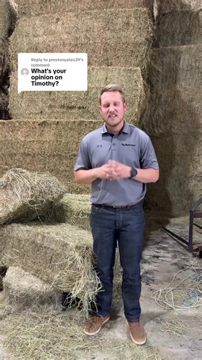Timothy for horses 🐴 #horsenutrition #equinenutrition #horseowner #horsetips ￼#hayforhorses | Cook Feed & Outdoor