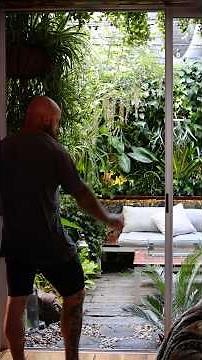 A Jungle Apartment in the Heart of the City! 🌱 #biophilicdesign