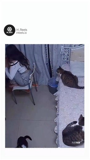 Irl_Reels on Instagram: "The video illustrates a technique to bypass the Touch ID security feature on an iPhone. It shows an individual attempting to unlock the phone using Touch ID multiple times without success. The method involves entering a sequence of numbers—1-2-3-4-5-6-7-8-9-0—onto the passcode screen, which mimics the pattern of a typical fingerprint. After pressing ‘OK,’ the phone unlocks, and the screen displays a contact list, confirming the success of the bypass method. Early in the 