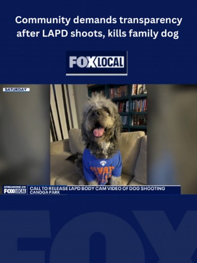 Community members and civil rights activists are demanding the immediate release of body camera footage after an LAPD officer shot and killed a family dog in Canoga Park over the weekend.