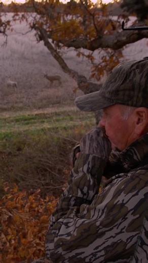 On a string… #conquestscents #whitetailrut #bowhunting