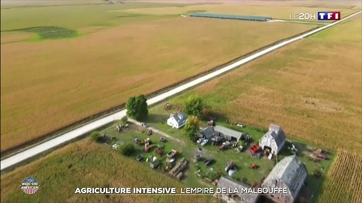 Agriculture intensive aux États-Unis : l'empire de la malbouffe