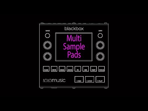 Multisample blackbox