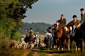 Autumn hunting: Horse&Hound’s dos and don’ts for first-timers - Horse & Hound