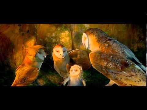 Guardians of Gahoole Opening/1st part.