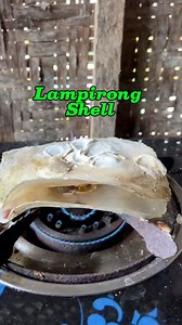 Grilled Lampirong Shell 😍 #fblifestyle | Ate Laila
