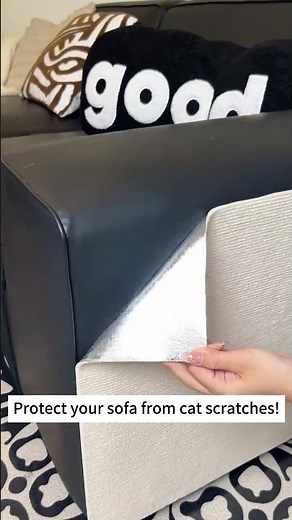 Stop Cat Scratching with This Couch Shield!