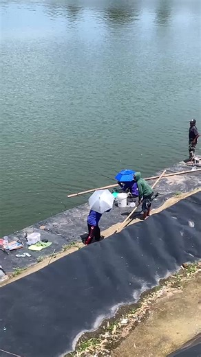 hari Minggu ceria pesta straik...... #xybca #bc #mancingmania #embungringinlaril