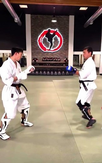 Machida Karate blocks and counters! #karate