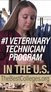 10K views · 253 reactions | Looking for an online program for a...