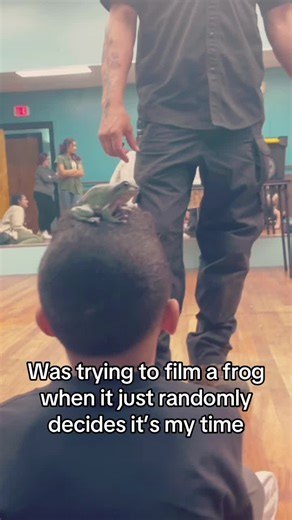 Top Ten Deadliest Frog Moments in Nature