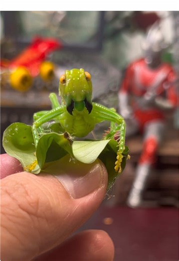 The Lifespan of Insects: 100 Days Explained