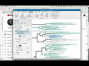 Using Treeviewer -- clean branches