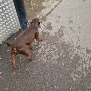 4.6K views · 1.1K reactions | We provide a free service to the public...