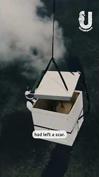 A Mission to Save The Amazon forest by Luigi Cani