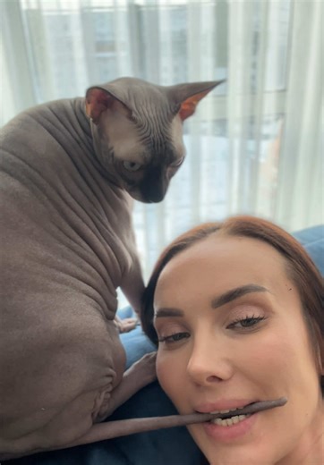 Video's van Рита ❤️❤️ (@bitter_marmalate1) met Meow number 16 - The kitten's nose - AtilaKw