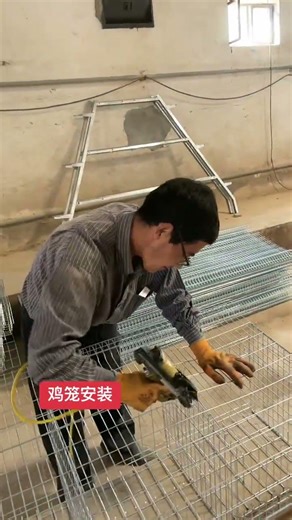 A-type / Ladder Layer Cage