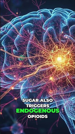 Sugar's Brain Game: Tolerance, Opioids, and the Compulsion Loop!