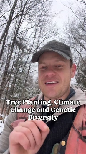 How to Love a Forest — off-cuts! This snippet came from a video about foxes (if you can believe that) and gets into genetic diversity, biodiversity, climate change, tree planting and more. Genetic diversity (in our trees and other species) is a really important part of climate adaptation, climate resilience, and biodiversity. But is it possible to protect tree species’ genetic diversity as we try to help make forests more resilient in a changing climate? Biologist E.O. Wilson defines biodiversit
