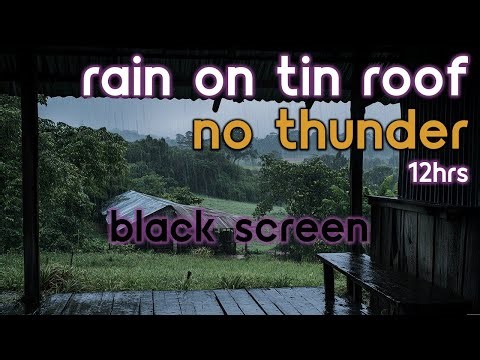 [Black Screen] Rain on Tin Roof No Thunder | Rain Ambience | Rain Sounds for Sleeping