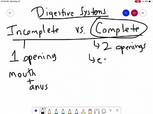 SOLVED: Speculate as to what advantage(s) a complete digestive system has over an incomplete digestive system? | Numerade