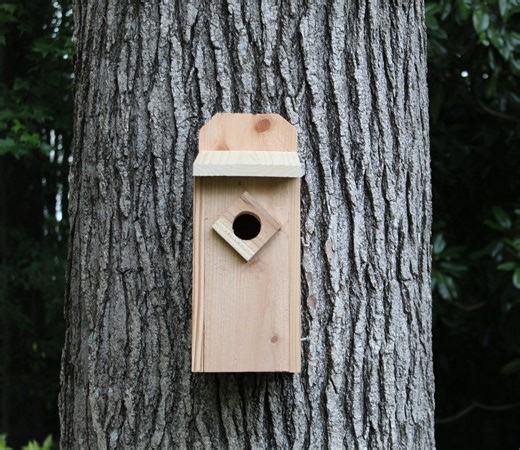 Cedar Wood Bluebird House Nest Box With Predator Guard - Etsy