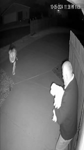 Danger Lion Attacks Man and Dog | Real Night CCTV Footage lion attack cctv lion attacks man lion attack on dog dangerous lion encounter night cctv footage cctv viral video wild animal attack lion outside house real security camera footage scary cctv footage wildlife attack caught on camera usa cctv viral #LionAttack #CCTVFootage #WildlifeAttack #CaughtOnCamera #NightFootage #AnimalAttack #SecurityCamera #DangerousAnimals #ViralCCTV #USA 👉 Follow the page for more real CCTV and wildlife encounte