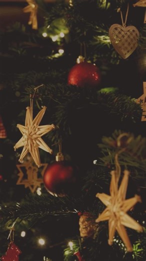 🎄 Countdown to Christmas, one cozy cup at a time. Unwrap 24 days of Montana-made tea blends with our Limited Edition Advent Calendar — the perfect holiday gift for tea lovers. ☕✨ | Tumblewood Teas