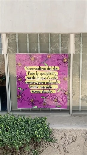 Insistir, persistir y nunca desistir 💗 #paratii #motivacion #goals #persistir #resistencia