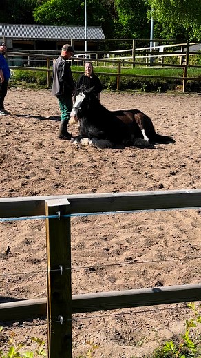 Big Mac had vandaag echt geen zin🤣 | Bio Manege