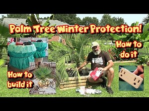 How to Protect Palm Trees from Cold 🌴 Building Winter Protection Barrels