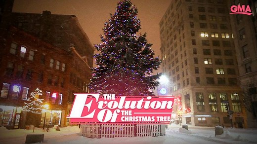 134K views · 65 reactions | From an ancient tradition to a symbol of holiday cheer, this is the history of the Christmas tree. https://gma.abc/33RHkYl | Good Morning America | Facebook