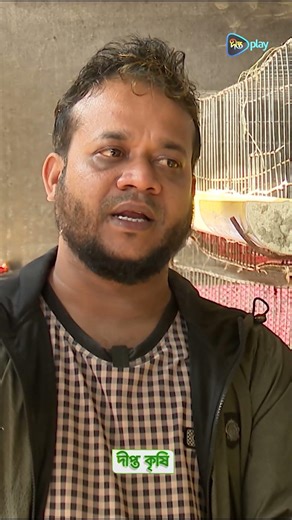 Deepto Krishi l সাদা কোয়েল পাখি পালনই বদলে দিয়েছে জীবনের গল্প l Profitable Quail Farming