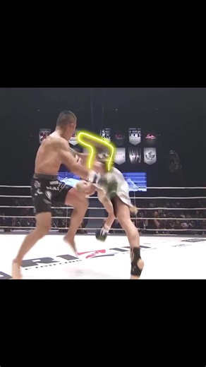 一瞬でも隙を見せたら負け（2） #那須川天心 #堀口恭司