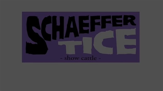 Schaeffer Lot 1