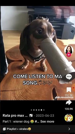 The wiener dog song
