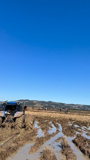 120K views · 12K reactions | Pode ficar tranquilo!  | Vitara Marvel | Facebook