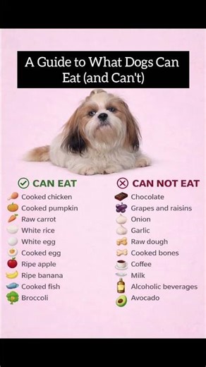 A Guide to What Dog's Can Eat (and Can't)🐶 #shorts #dogfood #doghealth #dogshorts #dogcare #ytshorts