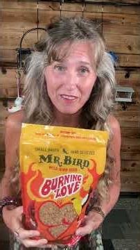 Why Your Bird Feeder Camera Keeps Getting Chewed Up (And the Spicy Fix)