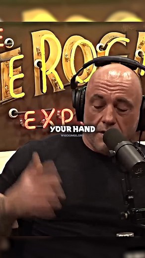112K views · 1.6K reactions | Joe Rogan on Bas Rutten's Punching Technique in MMA 壘 | Wisdom Glory | Facebook