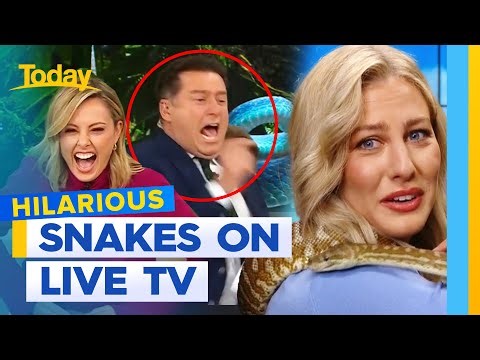 10 times reptiles terrified hosts on live TV 🐍 | Today Show Australia