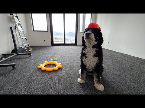 DIY Carpet Tiles: How We Installed Them