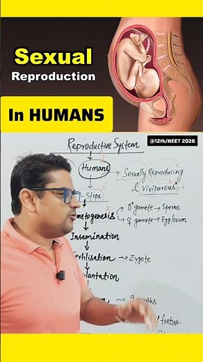 Sexual reproduction in Humans 🔥