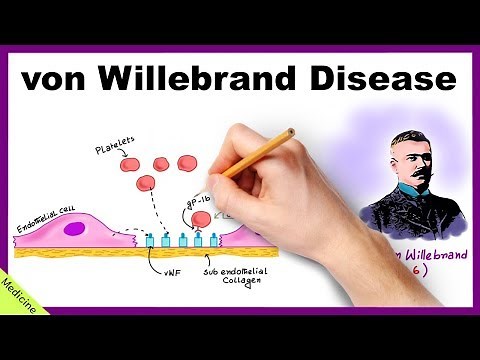 VON WILLEBRAND DISEASE: Pathophysiology, Clinical Findings, Diagnosis, Treatment