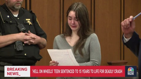 'Hell on wheels' teen who killed boyfriend and his friend in crash is sentenced to 15 years to life