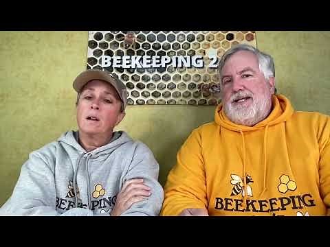 Bee Whisperer and Queen Bee discuss the key to Beginner beekeepers success.