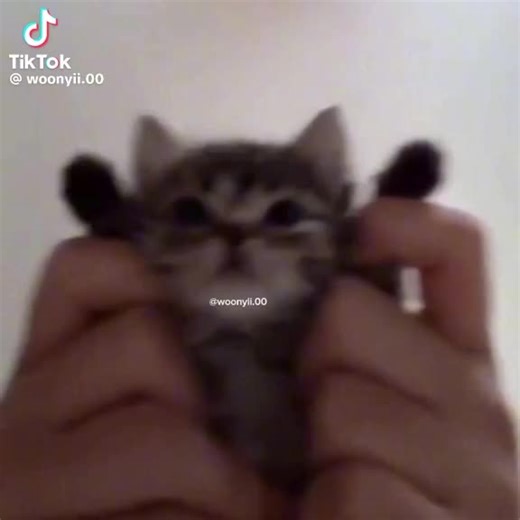 Ultra kill (@ultrakill109)’s videos with original sound - Ultra kill