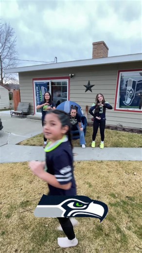 Seahawks vs Patriots: A Fan's Perspective