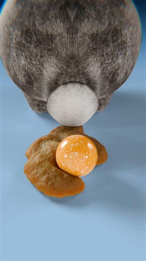 Hamster's Poop Size vs Rabbit's Poo Size