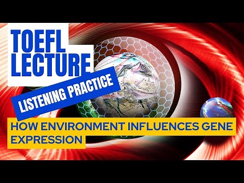 TOEFL LECTURE | Epigenetics: Environment and Gene Expression